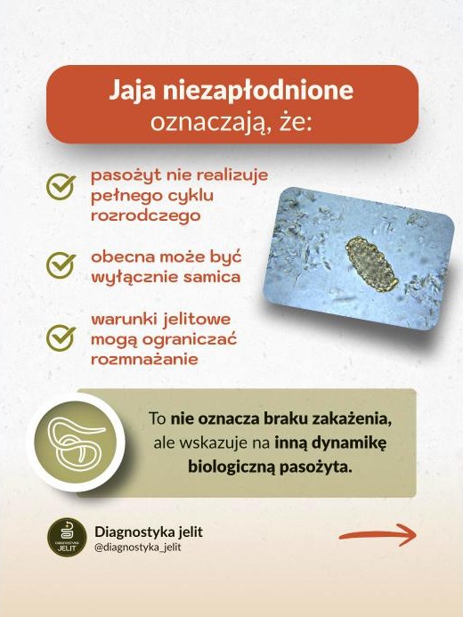 Diagnostyka Jelit – Karuzele edukacyjne