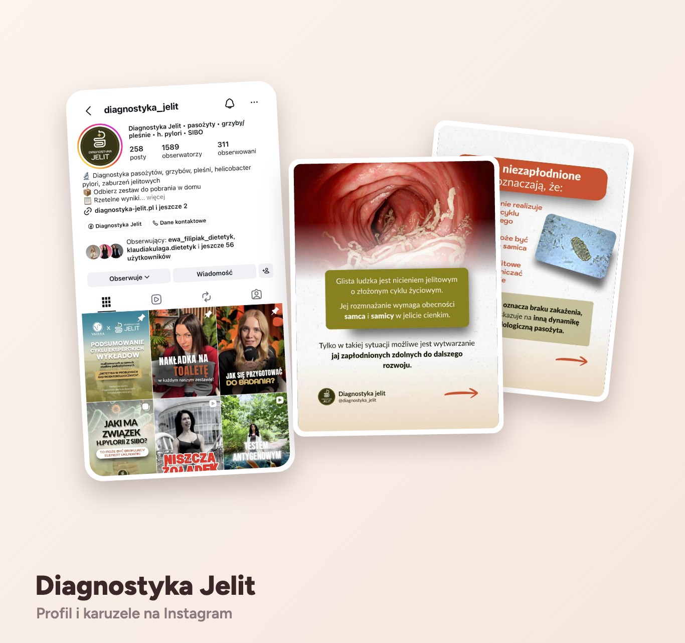 Diagnostyka Jelit – profil i karuzele na Instagram